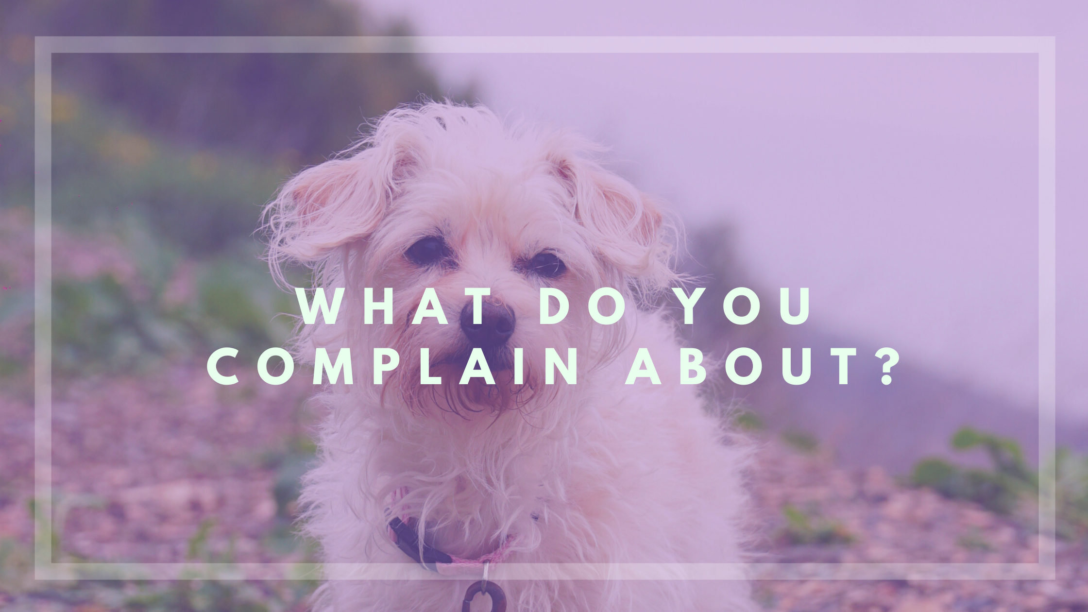 A Moment of Honesty: What I Complain About the Most