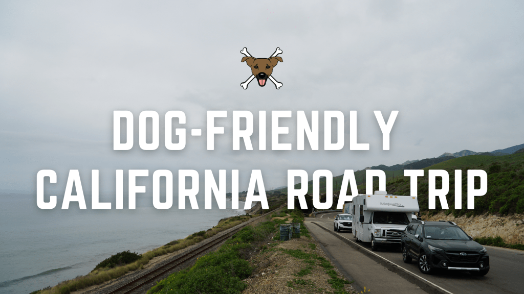 Chasing Dog‑Friendly Spots Down the California Coast Part&nbsp;2