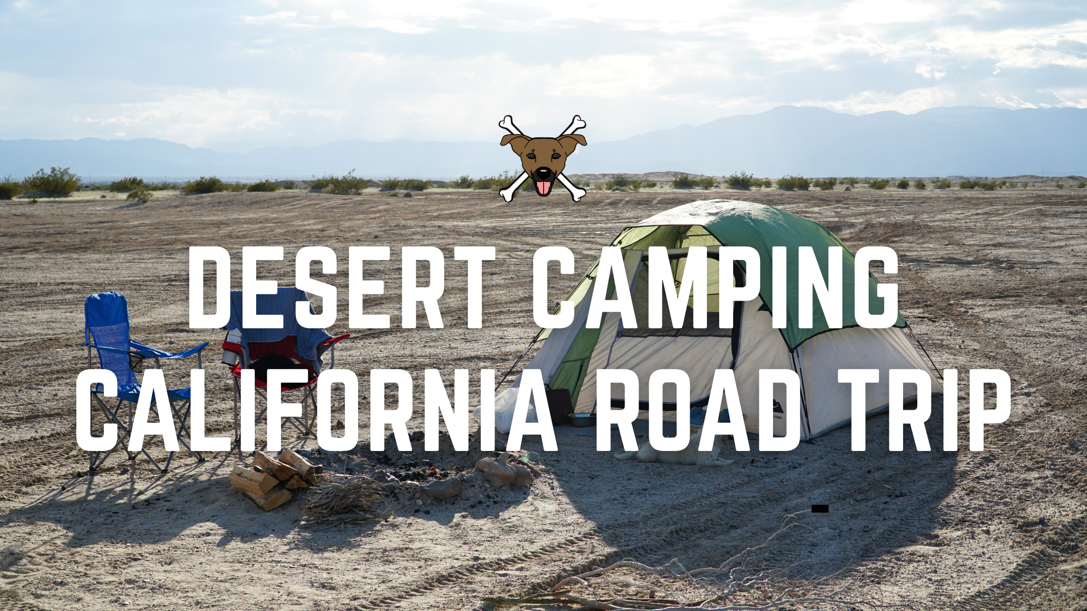 Chasing Dog-Friendly Spots Down The California Coast Part 3: Beaches, Parks, Trails & Free Camping