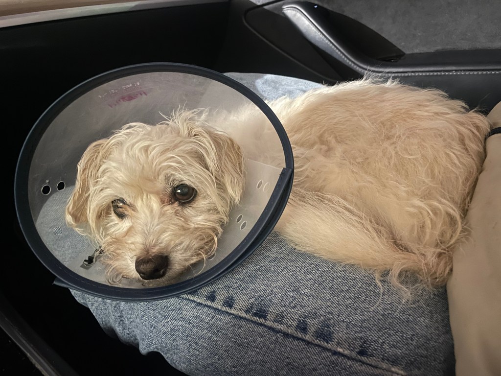 The Recovery Slow&nbsp;Down