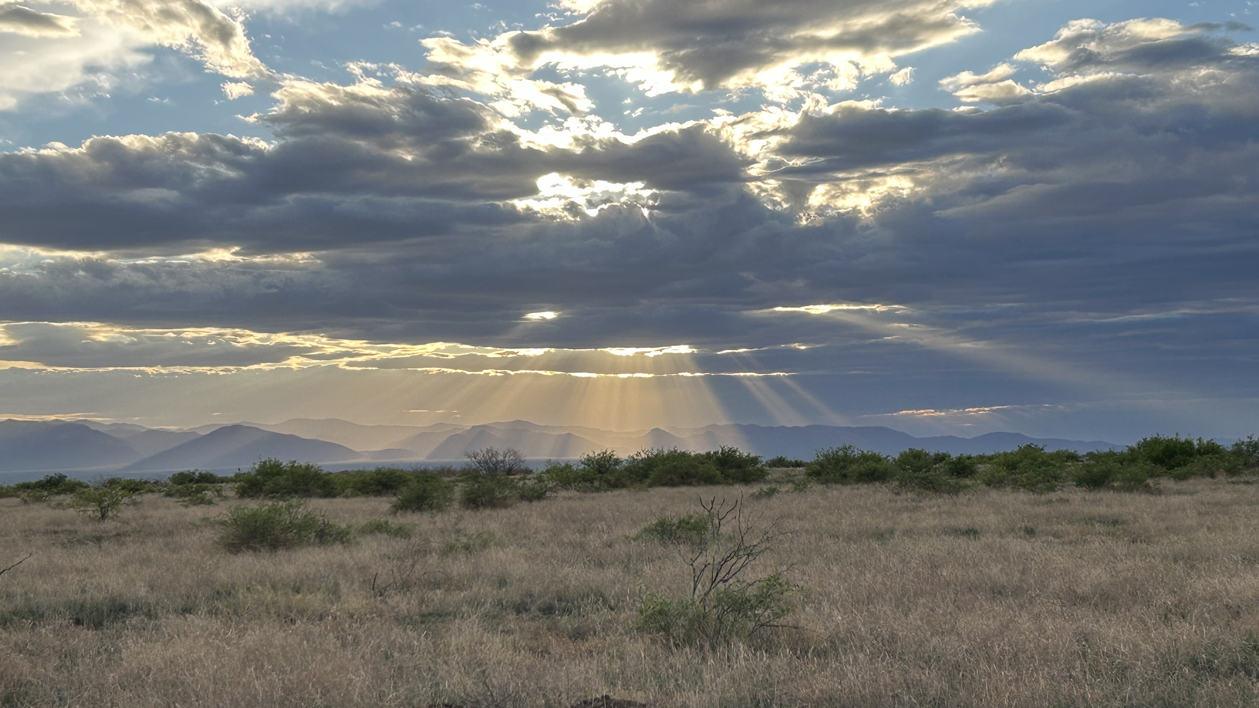 We Bought 10 Acres of Desert to Build Our Dream Homestead — Here’s How We Found It | Chapter 3
